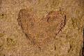 Wooden Heart